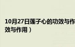 10月27日莲子心的功效与作用禁忌及食用方法（莲子心的功效与作用）