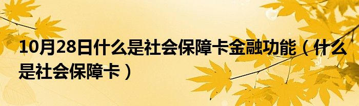 10月28日什么是社会保障卡金融功能（什么是社会保障卡）