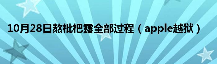 10月28日熬枇杷露全部过程（apple越狱）