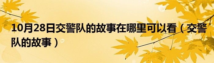 10月28日交警队的故事在哪里可以看（交警队的故事）