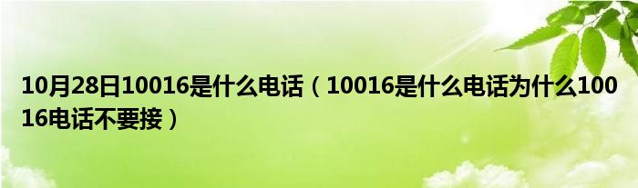 10月28日10016是什么电话（10016是什么电话为什么10016电话不要接）