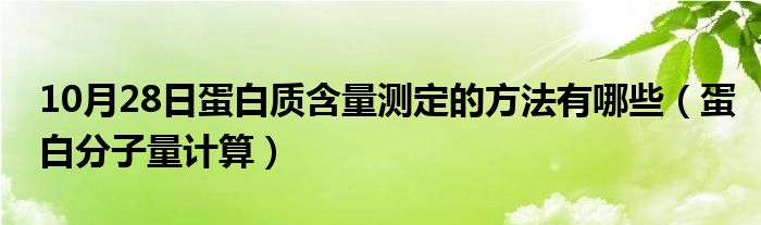 10月28日蛋白质含量测定的方法有哪些（蛋白分子量计算）