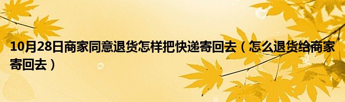 10月28日商家同意退货怎样把快递寄回去（怎么退货给商家寄回去）