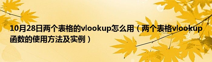 10月28日两个表格的vlookup怎么用（两个表格vlookup函数的使用方法及实例）