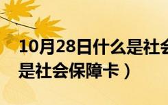 10月28日什么是社会保障卡金融功能（什么是社会保障卡）