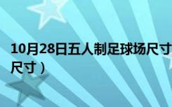 10月28日五人制足球场尺寸和篮球场哪个大（五人制足球场尺寸）