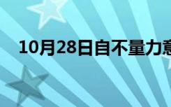 10月28日自不量力意思解释（自不量力）