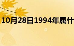 10月28日1994年属什么的（1994年属什么）