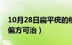 10月28日扁平疣的根治偏方（扁平疣有什么偏方可治）