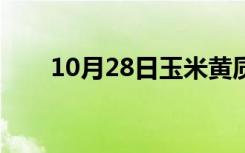 10月28日玉米黄质是啥（玉米黄质）