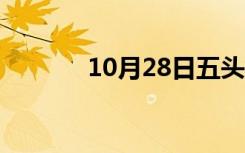 10月28日五头蛇图（五头蛇）