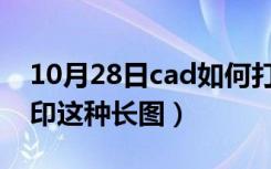 10月28日cad如何打印整张图（CAD如何打印这种长图）