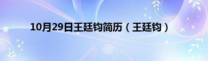 10月29日王廷钧简历（王廷钧）