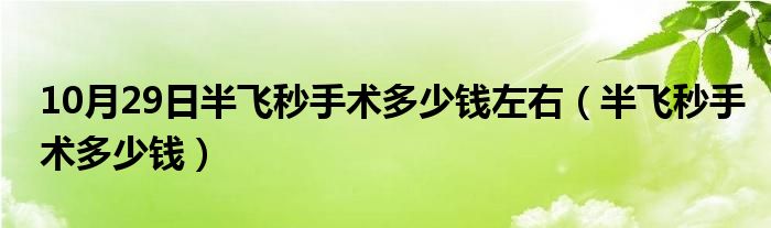 10月29日半飞秒手术多少钱左右（半飞秒手术多少钱）