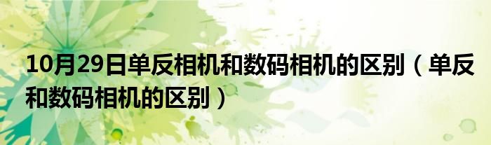 10月29日单反相机和数码相机的区别（单反和数码相机的区别）