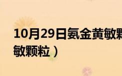 10月29日氨金黄敏颗粒小孩子用量（氨金黄敏颗粒）