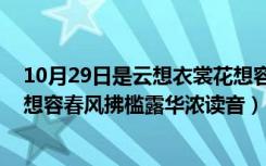 10月29日是云想衣裳花想容,春风拂槛露华浓（云想衣裳花想容春风拂槛露华浓读音）