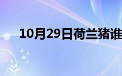 10月29日荷兰猪谁养谁后悔（荷兰猪）