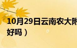 10月29日云南农大附中好吗?（云南农大附中好吗）