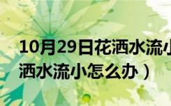 10月29日花洒水流小怎么办清洗什么泡（花洒水流小怎么办）