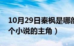 10月29日秦枫是哪部小说的人物（秦枫是哪个小说的主角）