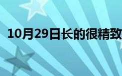 10月29日长的很精致的意思（精致的意思）