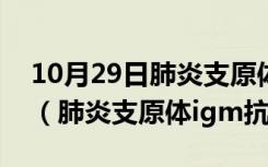 10月29日肺炎支原体igm抗体阳性多久才好（肺炎支原体igm抗体）