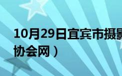 10月29日宜宾市摄影家协会网（宜宾摄影家协会网）