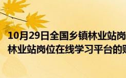 10月29日全国乡镇林业站岗位培训在线平台（我的全国乡镇林业站岗位在线学习平台的账号忘记了 怎么才能找）