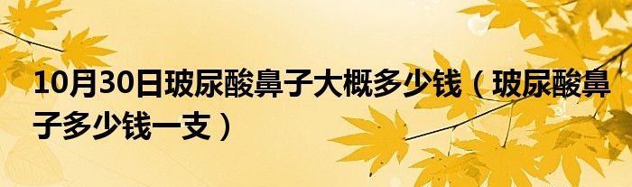 10月30日玻尿酸鼻子大概多少钱（玻尿酸鼻子多少钱一支）