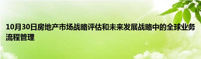 10月30日房地产市场战略评估和未来发展战略中的全球业务流程管理