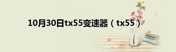 10月30日tx55变速器（tx55）