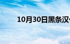 10月30日黑条汉化 丝（黑条汉化）