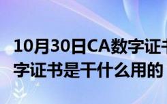 10月30日CA数字证书是啥（什么是CA CA数字证书是干什么用的）