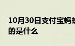 10月30日支付宝蚂蚁庄园：我国古代润笔指的是什么