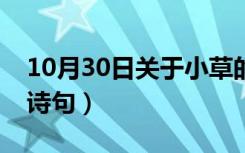 10月30日关于小草的诗句大全（关于小草的诗句）