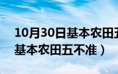 10月30日基本农田五不准什么时候开始的（基本农田五不准）