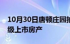 10月30日唐顿庄园拍摄地所在村庄出售的二级上市房产