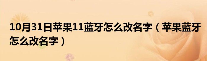 10月31日苹果11蓝牙怎么改名字（苹果蓝牙怎么改名字）