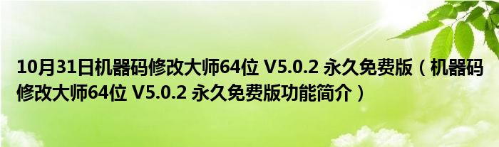 10月31日机器码修改大师64位 V5.0.2 永久免费版（机器码修改大师64位 V5.0.2 永久免费版功能简介）