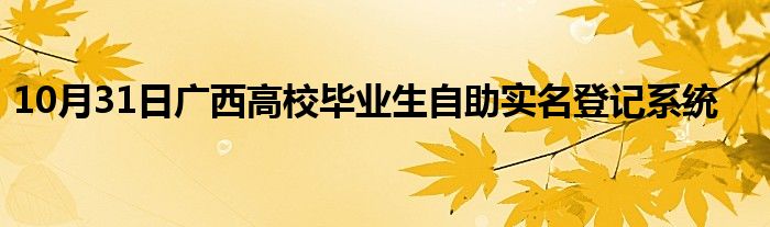 10月31日广西高校毕业生自助实名登记系统