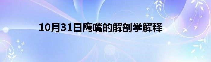 10月31日鹰嘴的解剖学解释