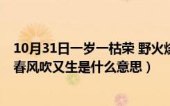 10月31日一岁一枯荣 野火烧不尽 春风吹又生（野火烧不尽春风吹又生是什么意思）