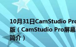 10月31日CamStudio Pro屏幕录像软件 V2.7.3 汉化免费版（CamStudio Pro屏幕录像软件 V2.7.3 汉化免费版功能简介）