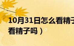 10月31日怎么看精子检查报告单（养囊主要看精子吗）