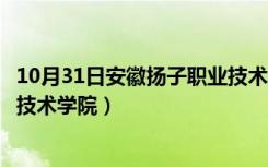 10月31日安徽扬子职业技术学院录取分数线（安徽扬子职业技术学院）