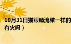 10月31日猫眼睛流脓一样的眼屎（儿童眼睛有黄脓状眼屎是有火吗）