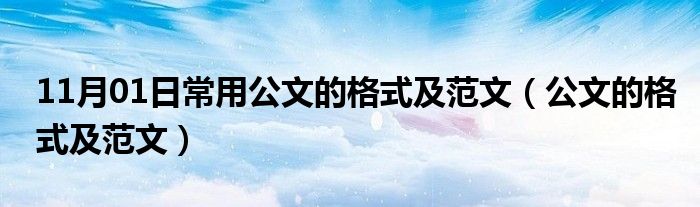 11月01日常用公文的格式及范文（公文的格式及范文）