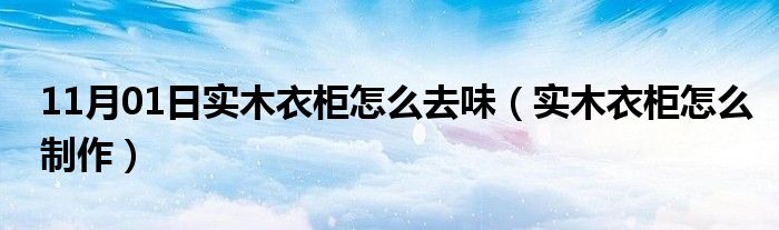 11月01日实木衣柜怎么去味（实木衣柜怎么制作）