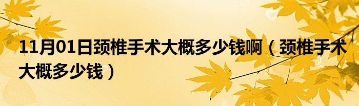 11月01日颈椎手术大概多少钱啊（颈椎手术大概多少钱）